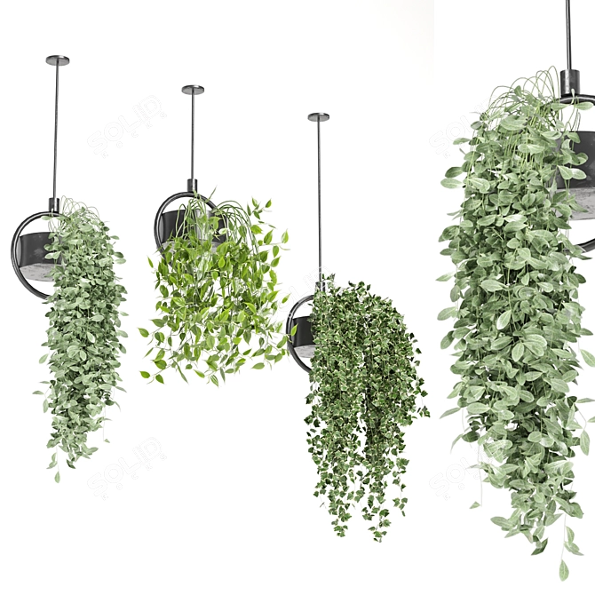 Metal Box Hanging Plants - Set 149 3D model image 3