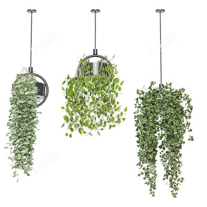 Metal Box Hanging Plants - Set 149 3D model image 4