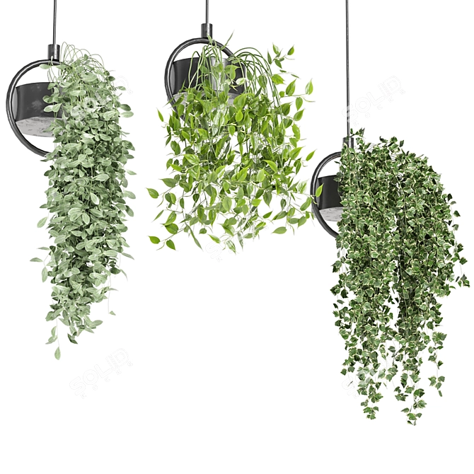 Metal Box Hanging Plants - Set 149 3D model image 5