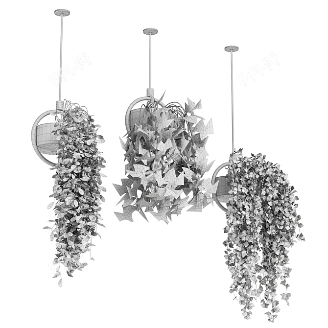 Metal Box Hanging Plants - Set 149 3D model image 6