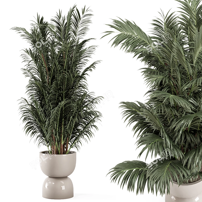 Rustic Concrete Pot Indoor Plants 3D model image 1