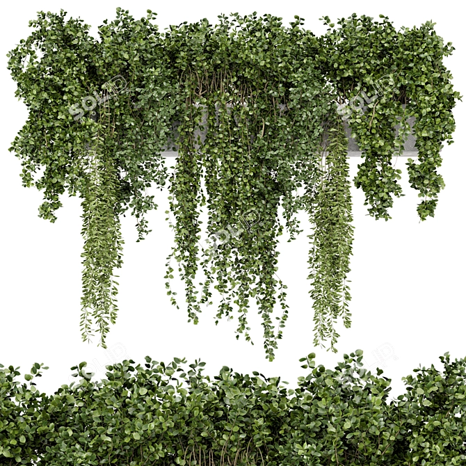 Rustic Hanging Plants in Concrete Pot 3D model image 1