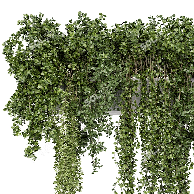 Rustic Hanging Plants in Concrete Pot 3D model image 2