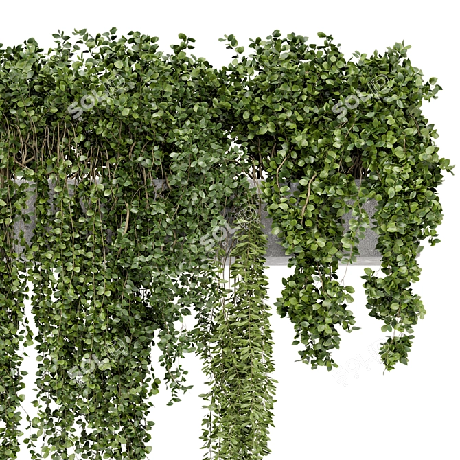 Rustic Hanging Plants in Concrete Pot 3D model image 3