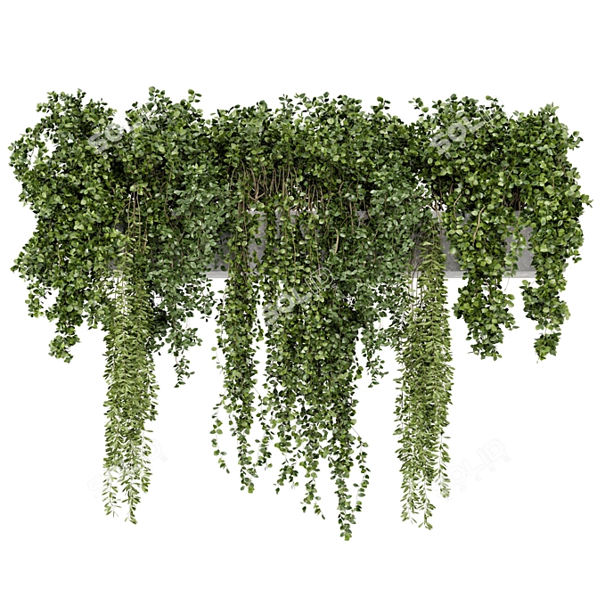 Rustic Hanging Plants in Concrete Pot 3D model image 4