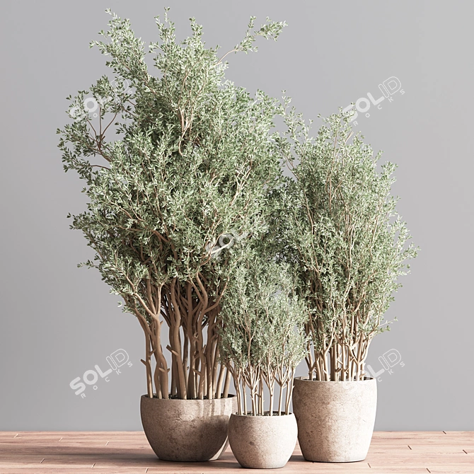 Lush Indoor Plant Set 3D model image 2