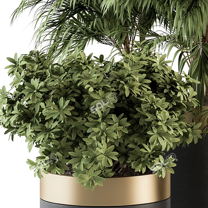 Modern Indoor Plant Set 3D model image 2