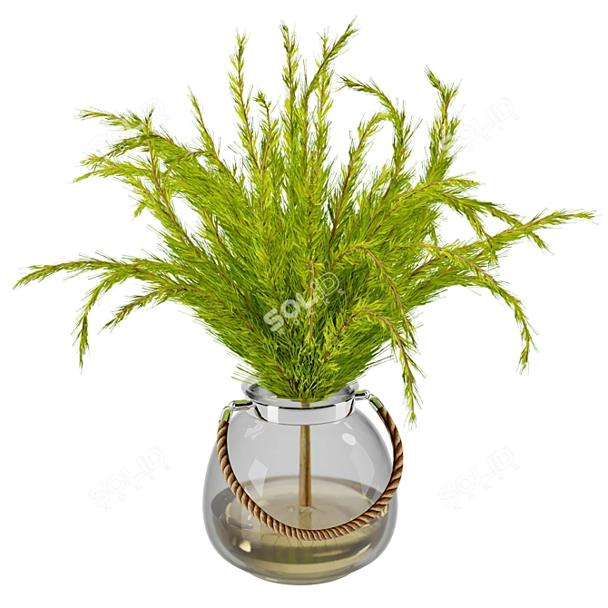 Stylish Indoor Plant - 2016 3D model image 1