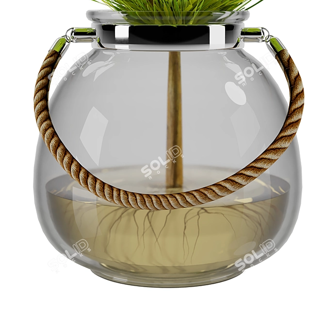 Stylish Indoor Plant - 2016 3D model image 2