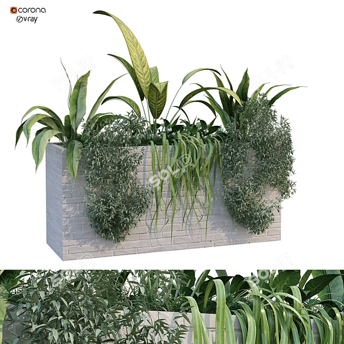 Exquisite Plant Box Set 230 3D model image 1