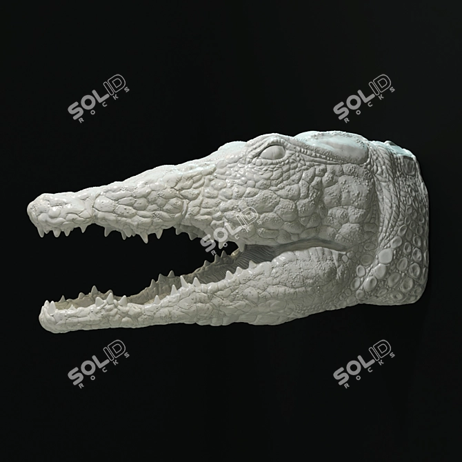 Porcelain Crocodile Wall Décor 3D model image 5