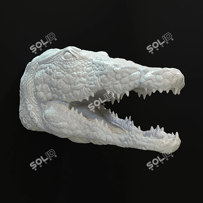 Porcelain Crocodile Wall Décor 3D model image 6