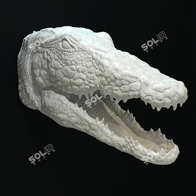 Porcelain Crocodile Wall Décor 3D model image 8