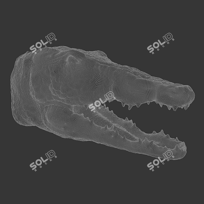 Porcelain Crocodile Wall Décor 3D model image 10