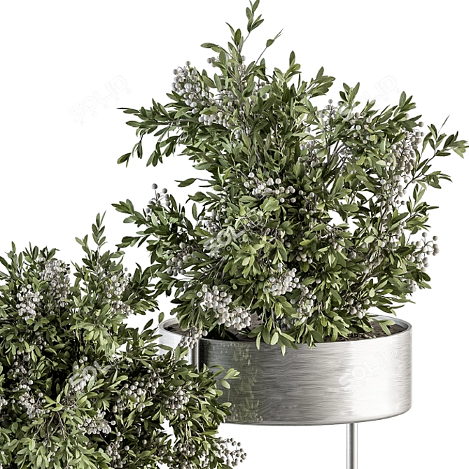 Modern Silver Box Indoor Plant Set 3D model image 2