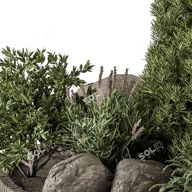 Outdoor Oasis Plant Set 3D model image 2