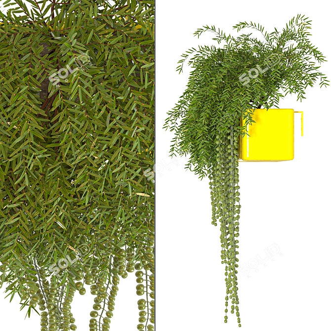 Sunny Garden Box: Outdoor Plant Vol 01 3D model image 3