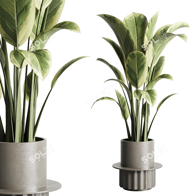 162 Concrete Ficus Elastica: Versatile Indoor/Outdoor Pot 3D model image 5