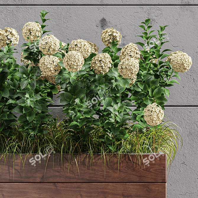 Outdoor Plant Set 001 - Premium Plant Box 3D model image 3