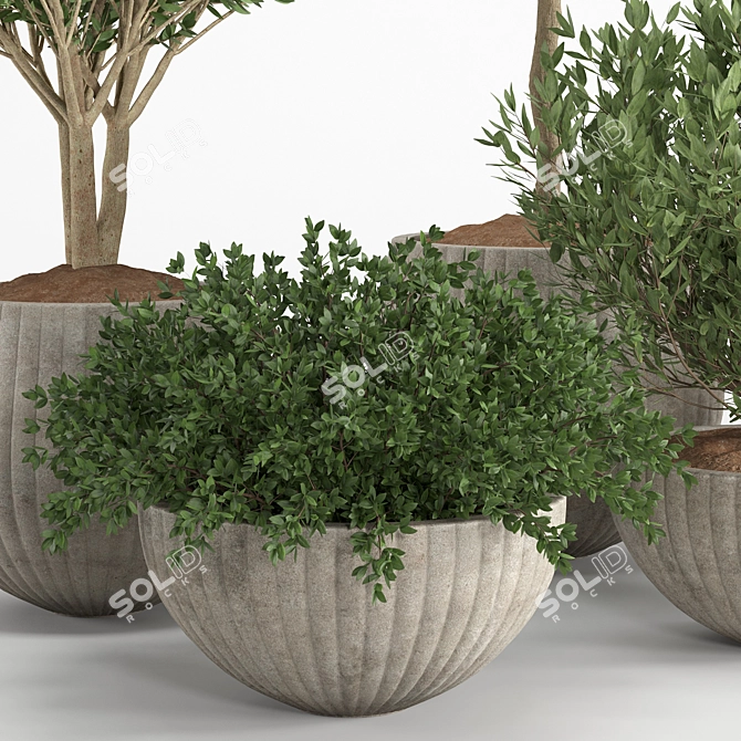 Tropical Oasis Indoor Plant Set 3D model image 2