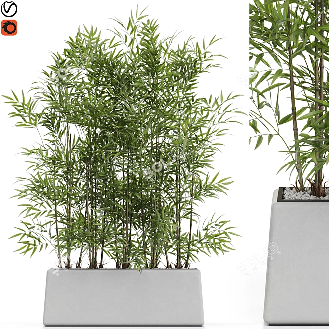 Lush Greenery: Plants Collection 615 3D model image 1