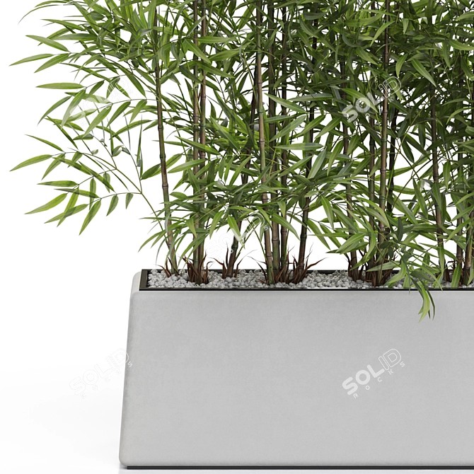 Lush Greenery: Plants Collection 615 3D model image 2