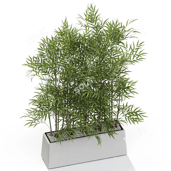 Lush Greenery: Plants Collection 615 3D model image 4