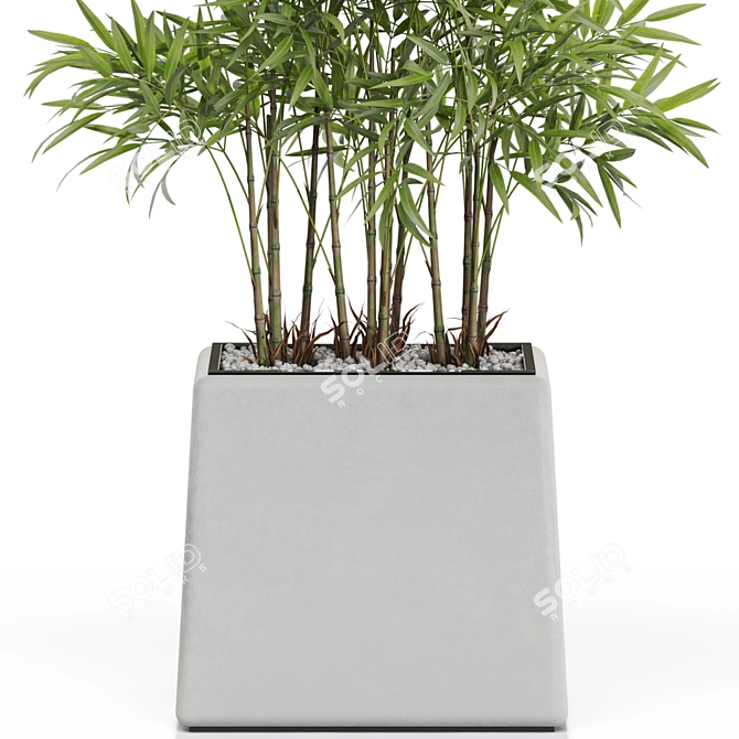 Lush Greenery Bundle 616 3D model image 2