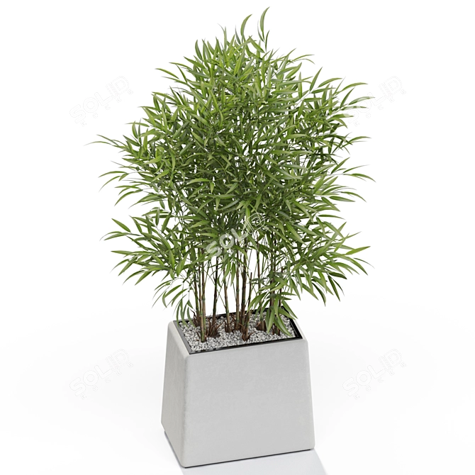 Lush Greenery Bundle 616 3D model image 4