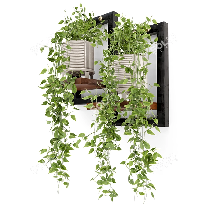 Rustic Concrete Pot with Indoor Hanging Plants Set 3D model image 5