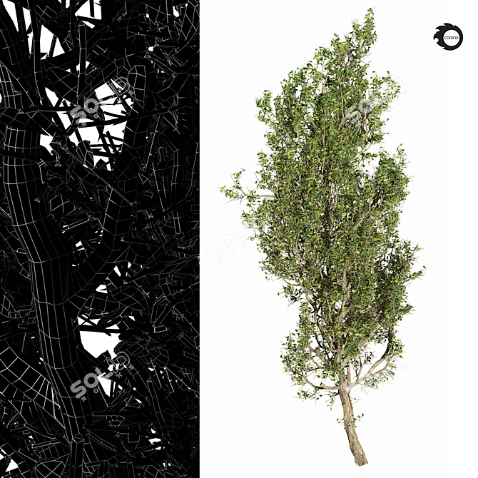 Gigantic Tree Model - 3Ds Max & OBJ 3D model image 3
