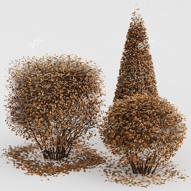 Winter Wonderland: 4 Different Dwarf Yaupon Holly Bush Spherical Cones 3D model image 3