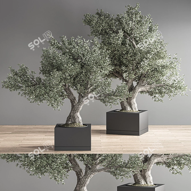 28-Piece Indoor Bonsai Plant Set 3D model image 2