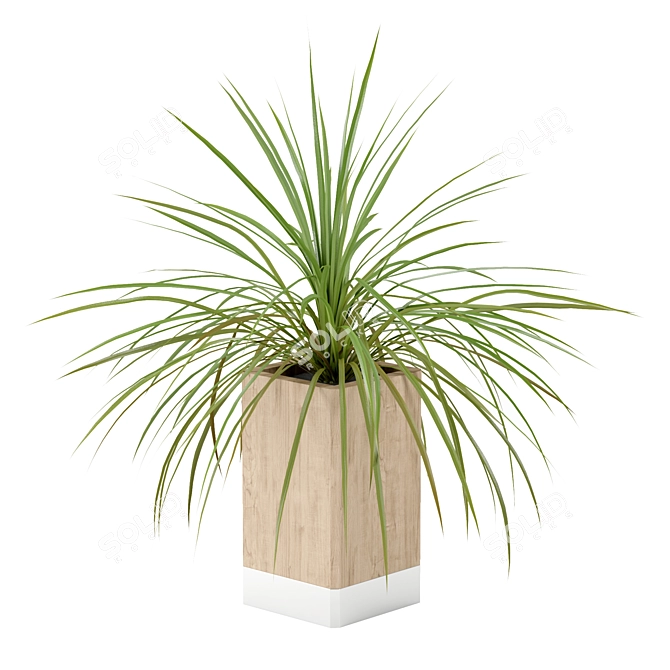 Minimalist Wooden Pot with Small Plant 3D model image 1
