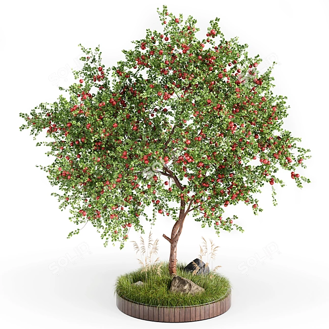 Apple Tree Garden: High-quality 3D Outdoor Plant Set 3D model image 1