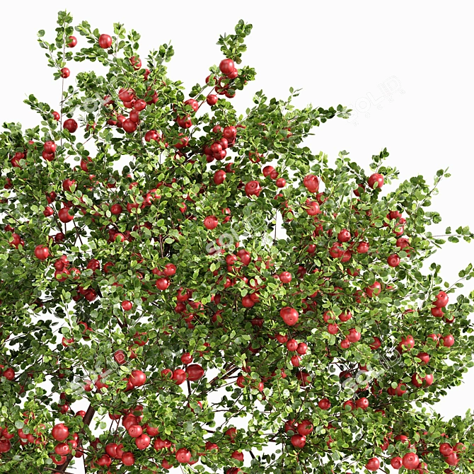Apple Tree Garden: High-quality 3D Outdoor Plant Set 3D model image 3