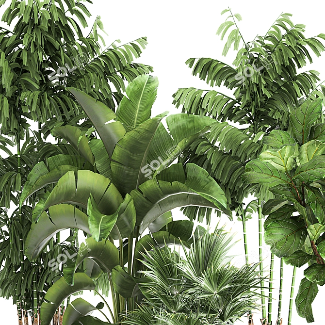 Tropical Plant Collection in Rustic Metal Pots 3D model image 4