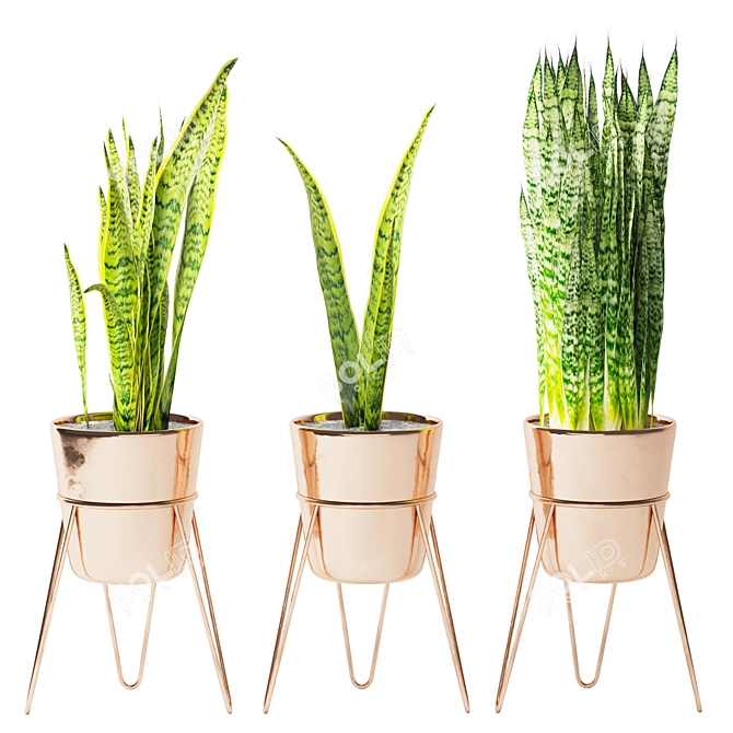 Sleek Snake Plant Stand 3D model image 1