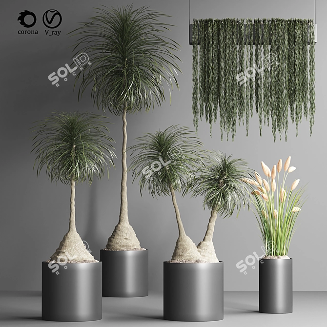 Indoor Plant Collection - Set of 12 3D model image 1