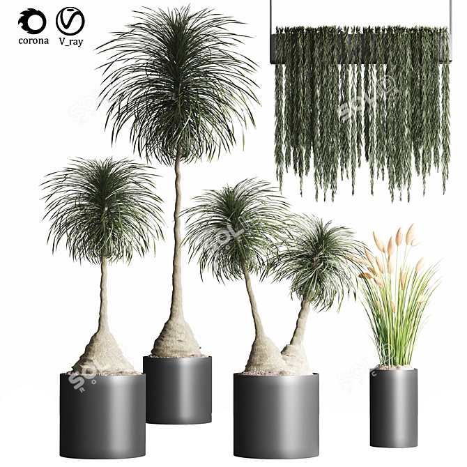 Indoor Plant Collection - Set of 12 3D model image 6