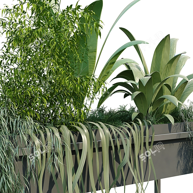 Minimalist Greenery Box Set 3D model image 3