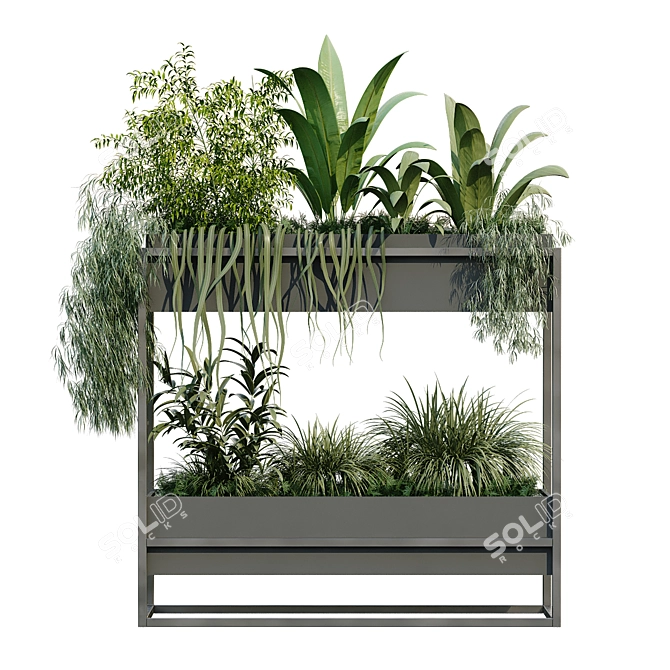 Minimalist Greenery Box Set 3D model image 4