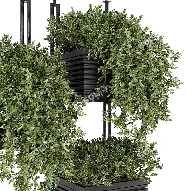 Modern Metal Box with Hanging Indoor Plants 3D model image 3