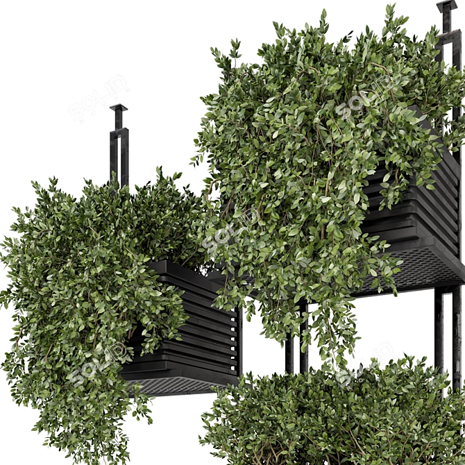 Modern Metal Box with Hanging Indoor Plants 3D model image 4