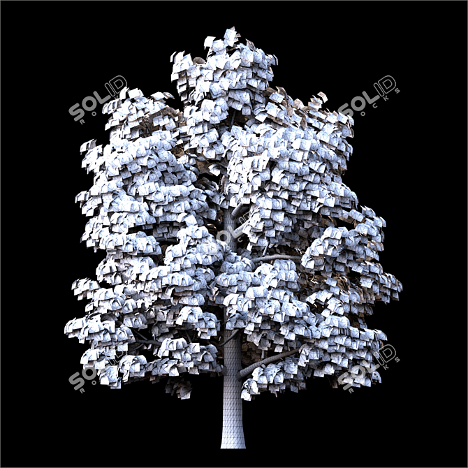 14m Exterior Landscape Tree 3D model image 4
