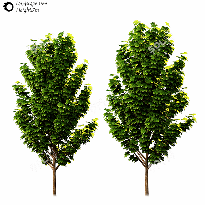  Majestic Outdoor Tree Sculpture 3D model image 2