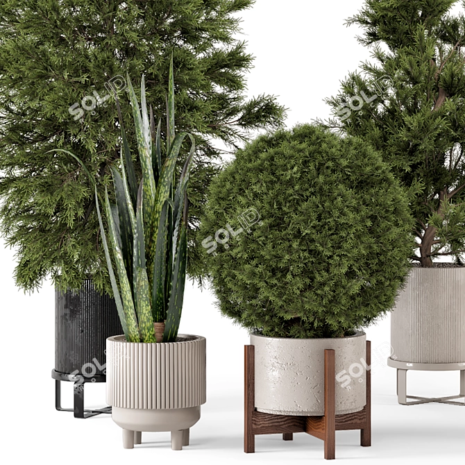 Ferm Living Bau Pot Large - Indoor Plants 3D model image 6