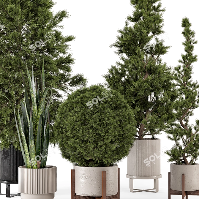 Ferm Living Bau Pot Large - Indoor Plants 3D model image 3