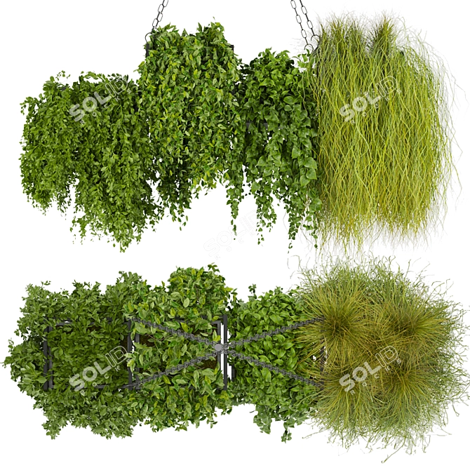 Hanging Indoor Plant Collection Vol. 282 3D model image 1