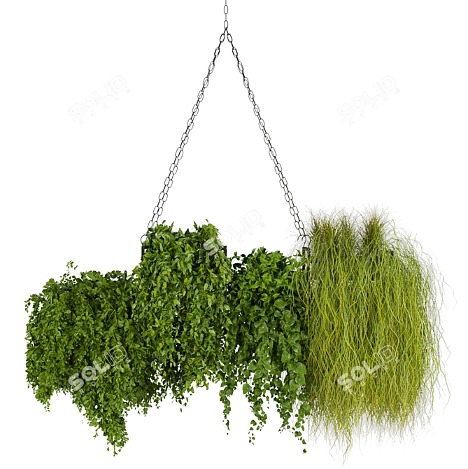 Hanging Indoor Plant Collection Vol. 282 3D model image 2